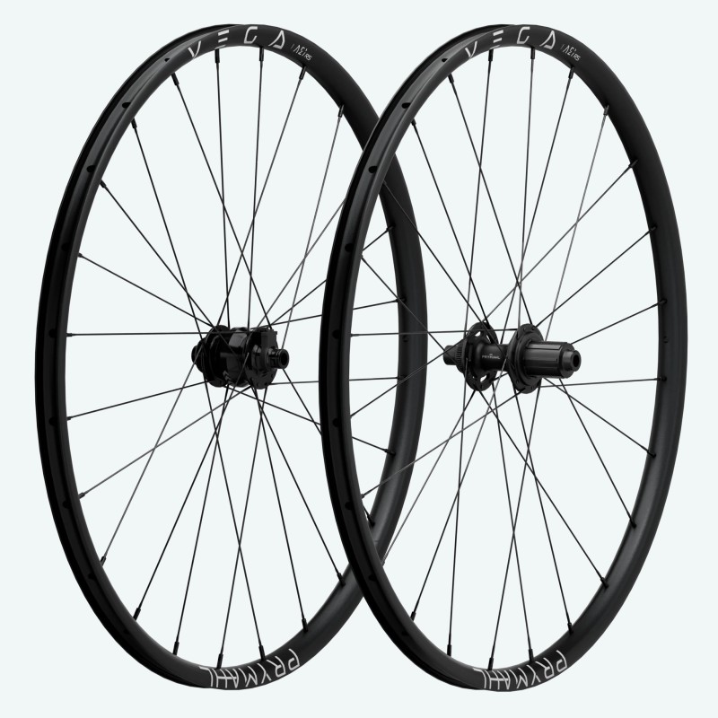 Paire de roues gravel Vega A21 RS Dynamo SP